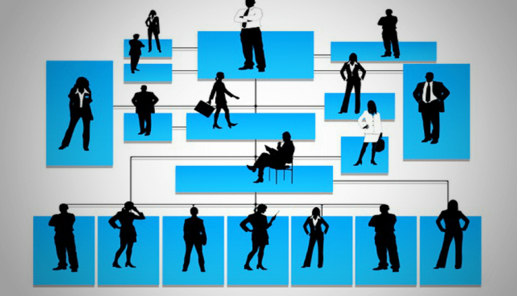 انواع ساختار سازمانی متناسب با نوع و اندازه سازمان